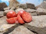 Andrew Rahart's Jumbo Red Tomato Canning Tomatoes