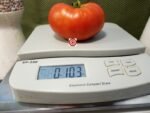 Angel Heart Red Tomato