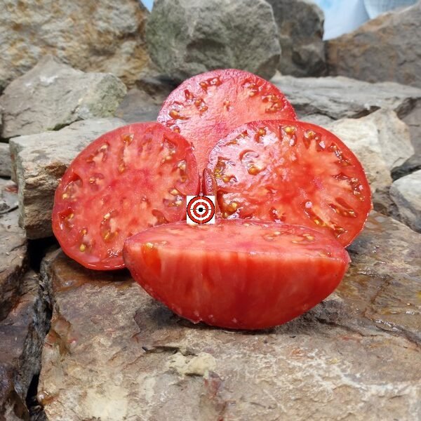 Aunt Ginny's Purple Tomato