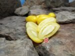 Banana Cream Tomato