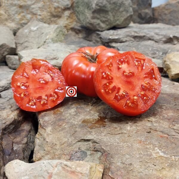 Bedium Tomato Red Beefsteak Tomatoes