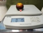 Belle Couer H34 Yellow Tomato