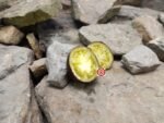 Belle Couer H34 Yellow Tomato Tomato Bicolored Tomatoes