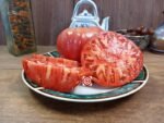Bezrazmernyi X Big Zac F3 Tomato