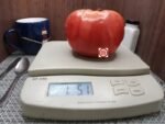 Bezrazmernyi X Big Zac F3 Tomato Sandwich Tomato