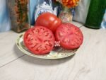 Big Dolly Red Tomato Heirloom Tomatoes