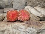 Black Elephant Tomato Slicing Tomatoes.