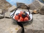 Blaue Zimmertomate Micro Dwarf Tomato Seeds