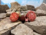 Blue Bling Tomato Rare Tomato