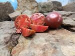Blue Bling Tomato Slicing Tomatoes
