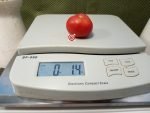 Bola Maciso Tomato