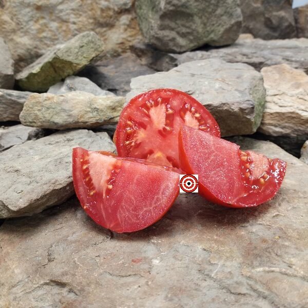 Caney's Family Red Tomato Heirloom Tomatoes