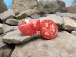 Caney's Family Red Tomato Rare Seeds