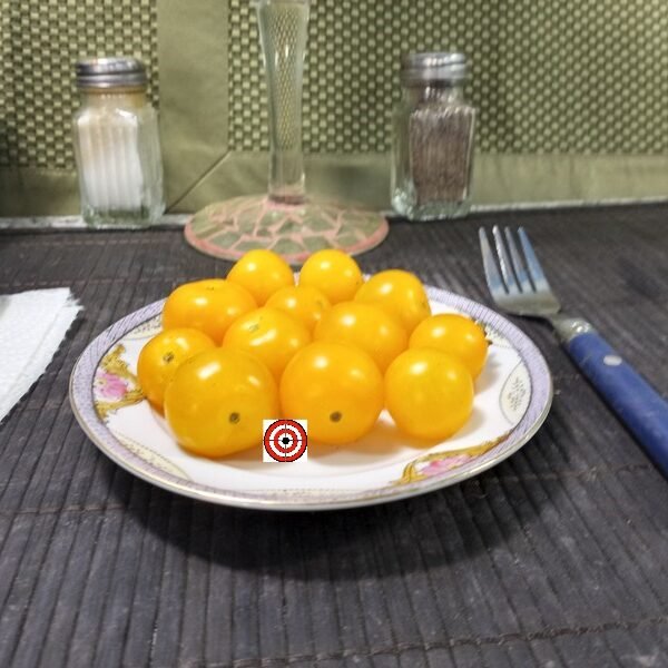 Cereza Amarilla Tomato