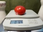 Chalk's Early Jewel Tomato Slicing Tomatoes