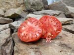 Clematz Tomato Red Tomatoes