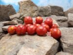 Cleoparta Tomato Heirloom Tomatoes