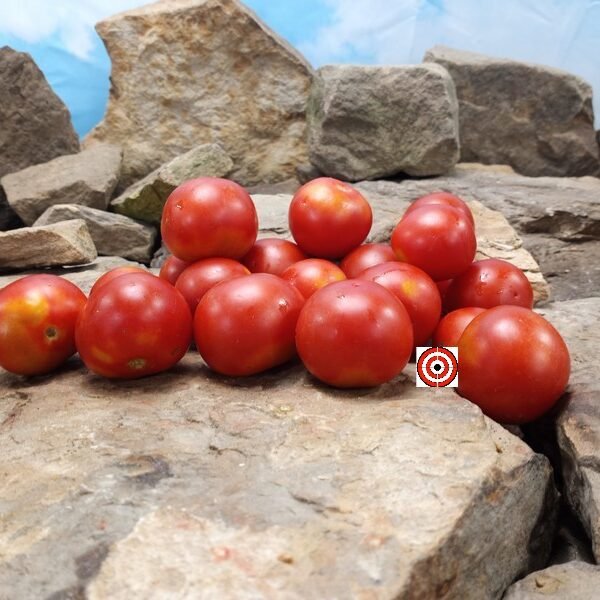 Cleoparta Tomato Heirloom Tomatoes