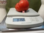 Crimson Cushion Tomato