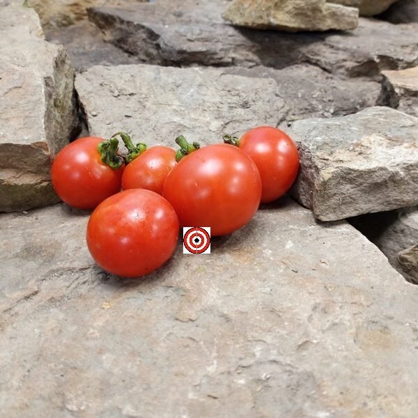 Csereznyeakaku Cherry Tomato