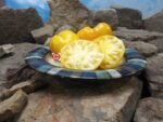 Dixie Golden Giant Yellow Tomato