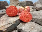 Dorothy's Mennonite Beefsteak Tomato Seeds