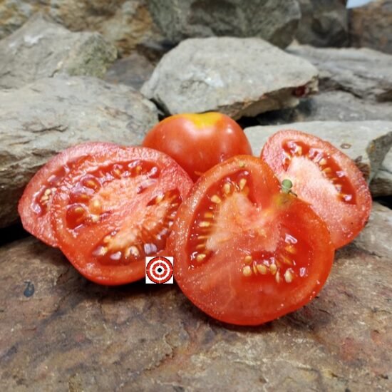 Dwarf Patio F3 Tomato