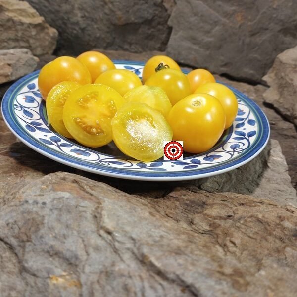 Dwarf Sunny's Pear Tomato.