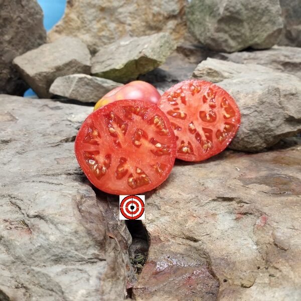 Early Detroit Tomato