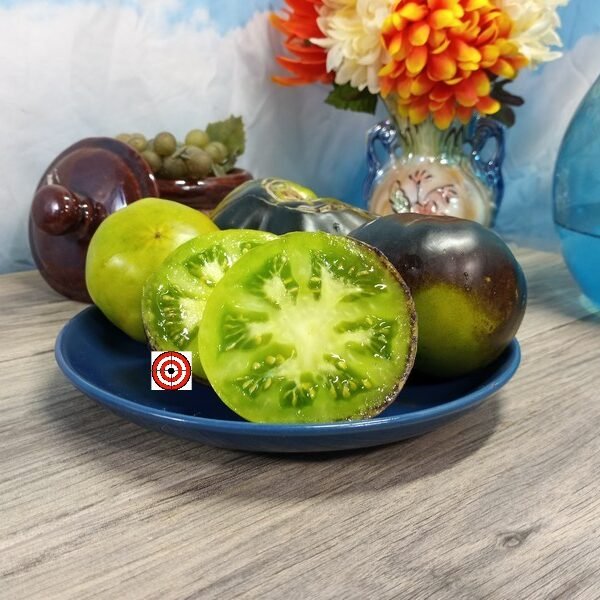 Flanders Contrast Tomato