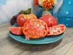 Fritz Akerman Tomato