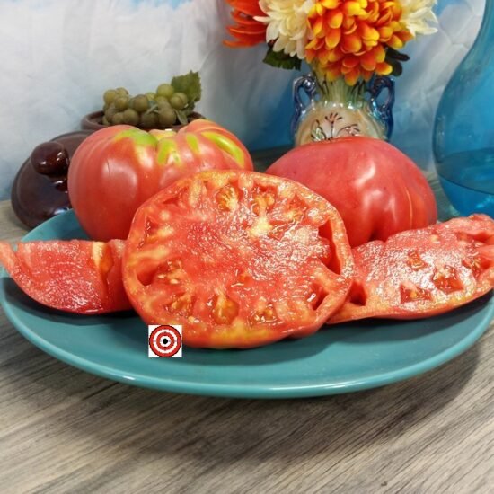 Fritz Akerman Tomato