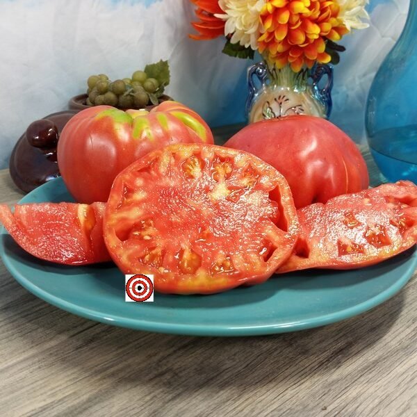 Fritz Akerman Tomato