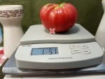 Fritz Akerman Tomato Giant Tomatoes