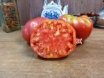 Fritz Akerman Tomato Seeds
