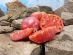 Fritz Akerman Tomato Slicing Tomatoes