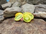 Fuego Verde Tomato Cherry