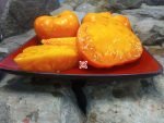 Gary Isben's Gold RL Tomato Orange Tomatoes