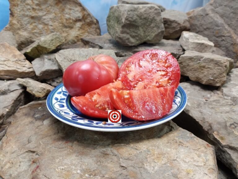 Giant Crimson Tomato-Bounty Hunter Seeds-Heirloom Tomato Seeds