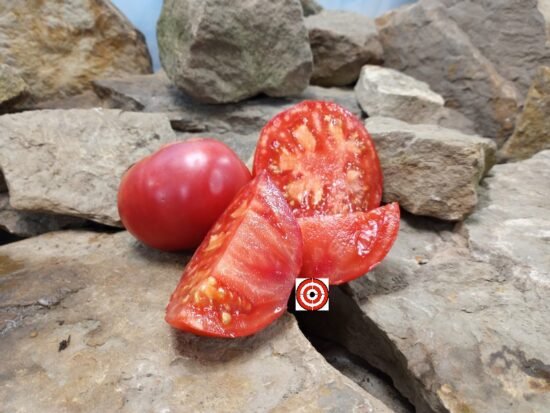 Giant Crimson Tomato-Bounty Hunter Seeds-Heirloom Tomato Seeds