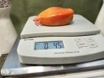 Giant Garden Paste F3 Tomato - Image 4
