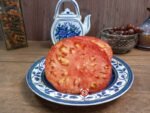 Gigantesque Tomato Seeds.