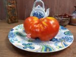 Gigantesque Tomato Slicing Tomatoes.