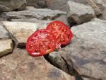 Goldman's Italian American Tomato