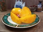 Greasy Creek Tomato Heirloom Tomato