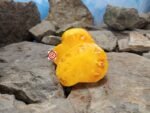 Greasy Creek Tomato Yellow Tomatoes