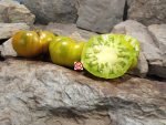 Green Mustang Tomato Seeds Green Tomatoes