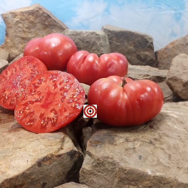 Halladay's Mortgage Lifter Tomato