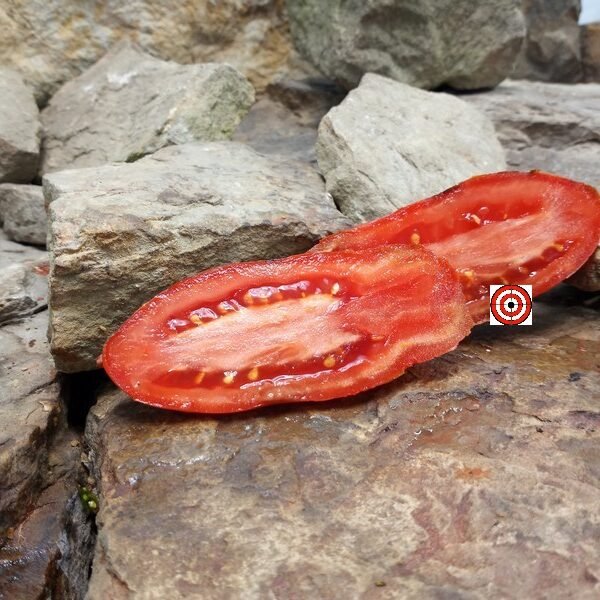 Hohloma Khokhloma Tomato