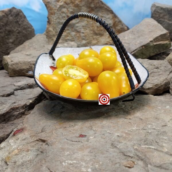 Honey Drop Cherry Tomato